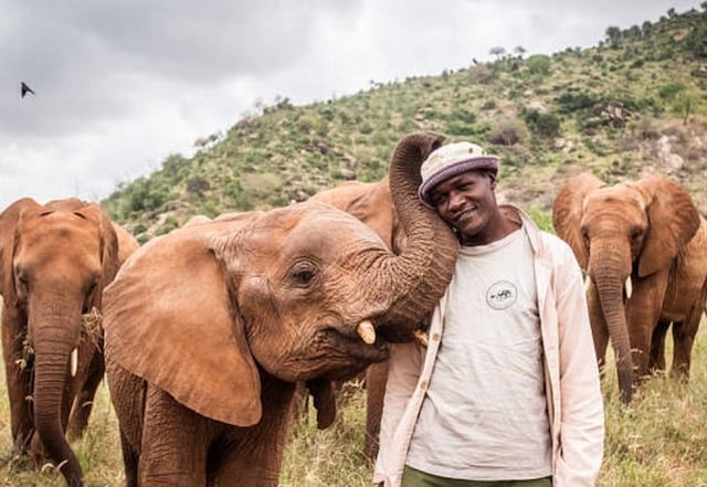 Le sanctuaire Sheldrick Wildlife Trust